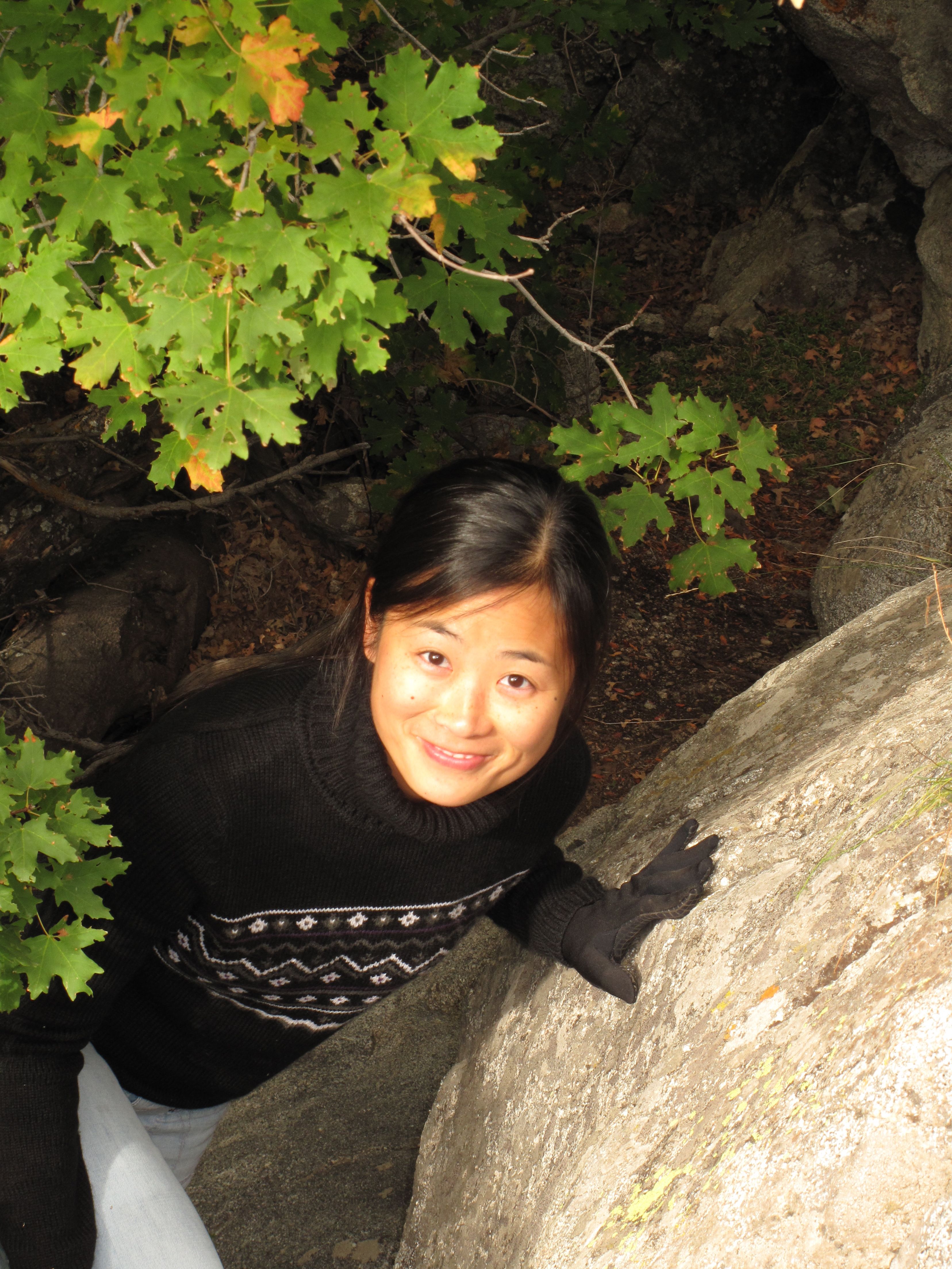 Anne Lijing Xu-Cobb